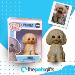 figura personalizada de mascota