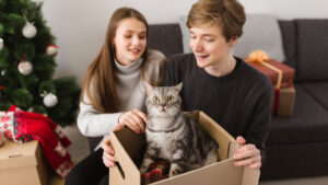 los mejores regalos de navidad para gatos