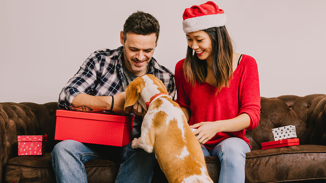 los mejores regalos de navidad para perros