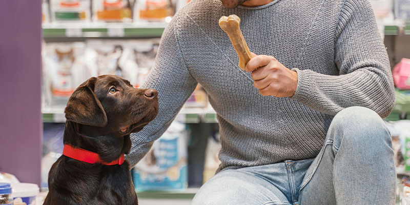 snacks y premios para perros en navidad